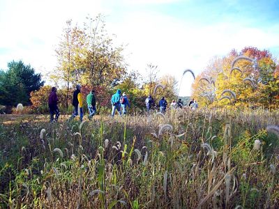 Photo of bird watchers in a field