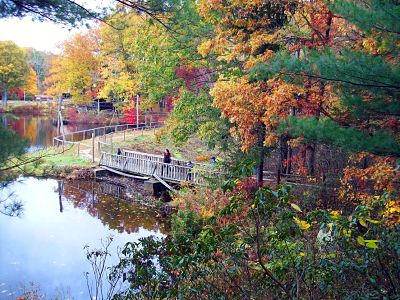 Photo of a walking trail along a lake with brightly colored trees